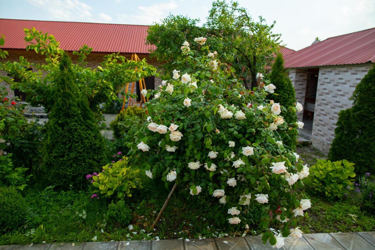 Gostevoy Dom Гостевой Дом Sheki Exterior foto